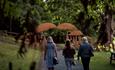 Three people walking through Durham University Botanic Garden on a sunny day, past the toadstool sculptures.