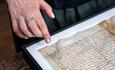 Someone reading The Magna Carta
