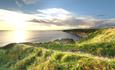 Coastal grassland with sea in background