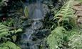 Botanic Gardens Durham