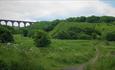 Walking route with viaduct in distance