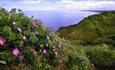 Walking on the Durham Heritage Coast