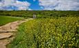 Walking on the Durham Heritage Coast