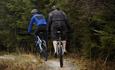 Cycling at Bishop Auckland/Brandon Loop Cycle Route