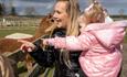 Llamas at Down at the Farm