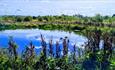 View of pond