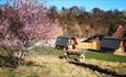 Finchale Abbey Camping Pods Durham