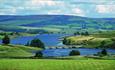 Grassholme Reservoir Trout Fishery