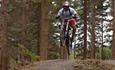 Cycling at Hamsterley Forest