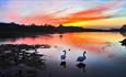 Hardwick Park at sunset