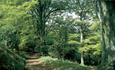 Footpath through Hawthorn Dene