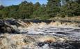 Low Force © North Pennines AONB Partnership