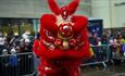 People stood watching the traditional lion dance at Millennium Place Durham, part of the Lunar New Tear celebrations.