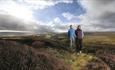 Walking in the North Pennines