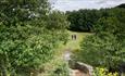 Walking in the North Pennines