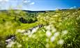 Walking in the North Pennines