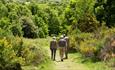 People enjoying a walk through Pelaw Wood on a sunny day.