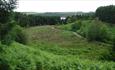 View of mire Pow Hill Country Park