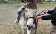 A child riding a donkey