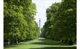 Trees and a part area at National Trust - Gibside