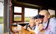 Girl and boy sat at a hide window looking out through binoculars