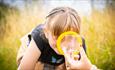 Girl looking through a magnifying glass into a bug pot