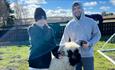 Two people holding a sheep at Bonners Lodge Caravan Park