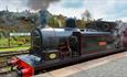 Tanfield Railway steam train