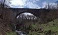 Causey Arch in County Durham
