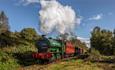 An historic steam train on Tanfield Railway in County Durham.