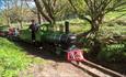 Train on the Thorpe Light Railway