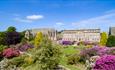 Ushaw and grounds on a bright, clear day, surrounded by purple shrubs.