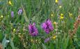 Meadows at Carrs Farm Bunkhouse Durham