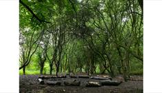 Rainton Meadows Nature Reserve and Visitor Centre