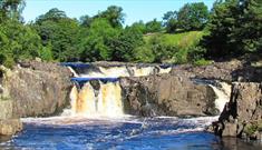 Tees Riverside and Hay Meadows Walk