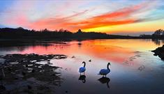 Hardwick Park at sunset