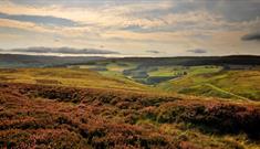 Autumn hills at North Pennines Area of Outstanding Natural Beauty (AONB)