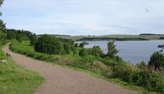 Pow Hill Country Park