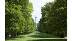 Trees and a part area at National Trust - Gibside