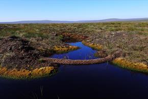 Photographs: North Pennines AONB Partnership and Martin Rogers.