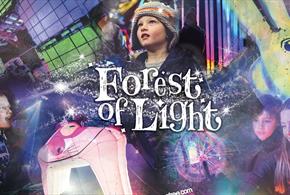 Children and families enjoying the 'Forest of Light' at Beamish Hall Hotel