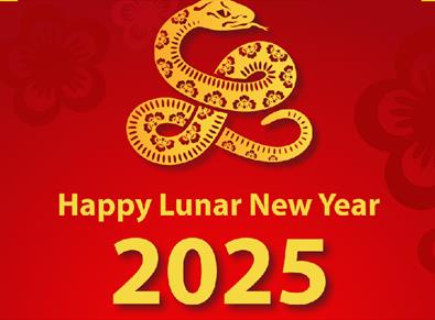 Year of The Snake - Lunar New Year 2025