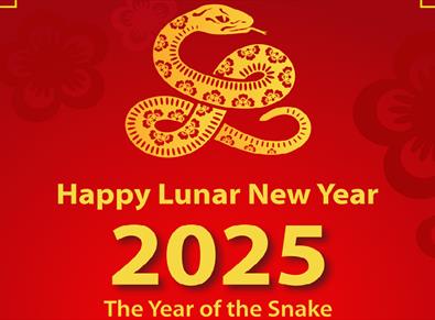 Lunar New Year 2025 Celebrations - The Year of The Snake