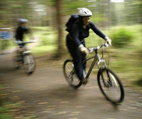 Durhams top 10 cycle routes - Hamsterley Forest Durham