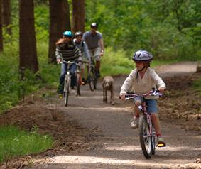 family riding through a forest with dog.