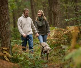 man and woman walking dog in Hamsterley Forest