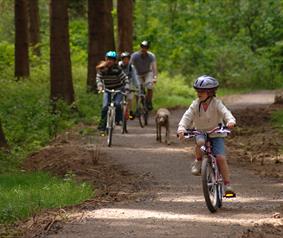 a family cycling through Hamsterley Forest with their dog