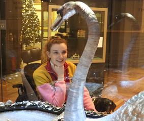 disabled blogger Kate Stanforth sat in her wheelchair looking at the silver swan at The Bowes Museum
