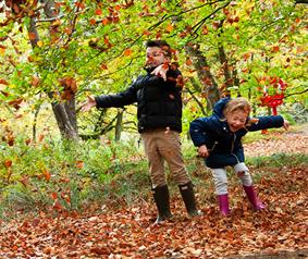 children playing with autumn leaves at Low Force Waterfall