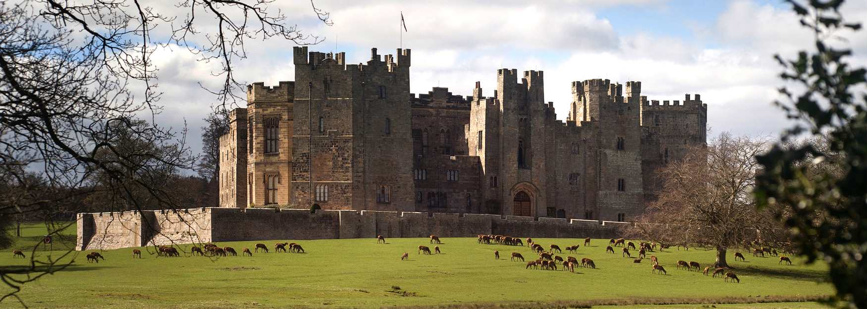 Raby castle and deer park